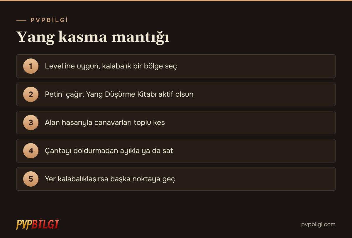 Yang kasma adımları