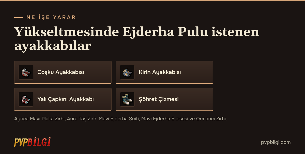 Ejderha Pulu kullanılan ayakkabılar
